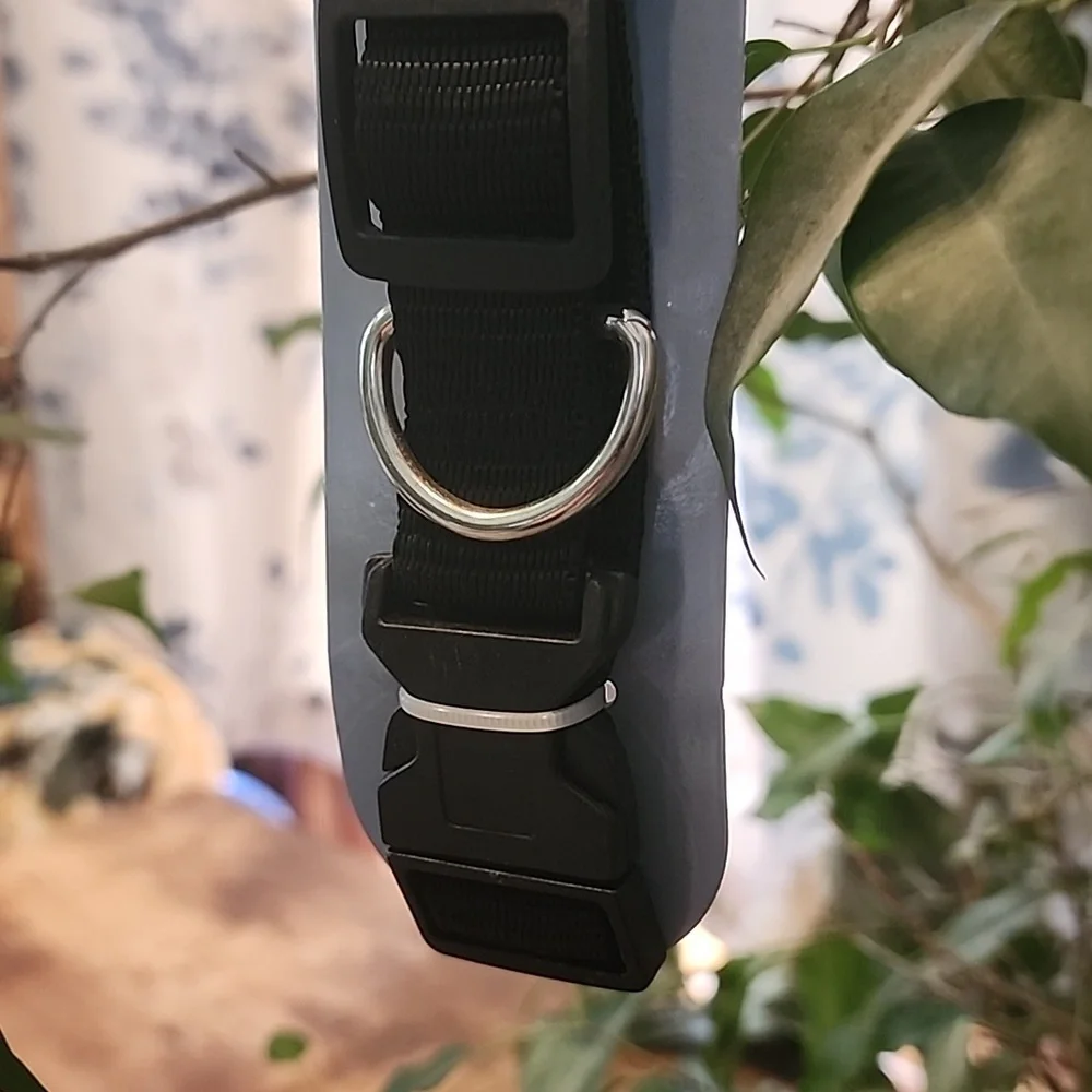 SALE⚡️Adjustable Dog Collar sz L